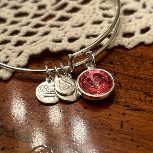 Alex & Ani Bangle Bar Pink Tourmaline October Birthstone Bangle Bracelet - Picture 10 of 14
